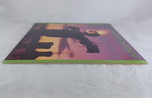 💿Sonic Youth: Bad Moon Rising 1985/1986 Homestead HMS016 Vinyl LP Record/Insert - Picture 12 of 16