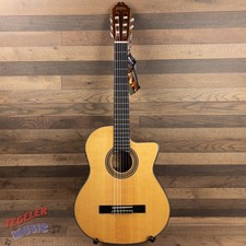 USED - Washburn C46SCE-A Classical Acoustic Guitar, w/pickup