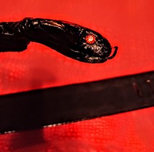 Black cobra guitar strap