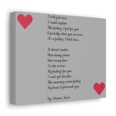 Words Cannot Describe Canvas Gallery Wraps