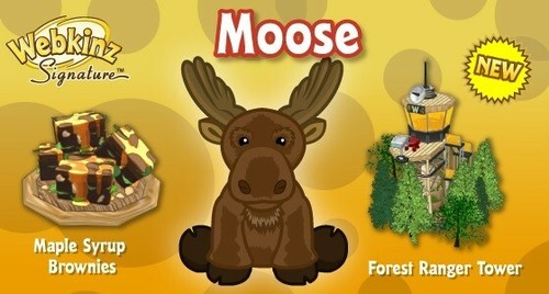 maple moose webkinz