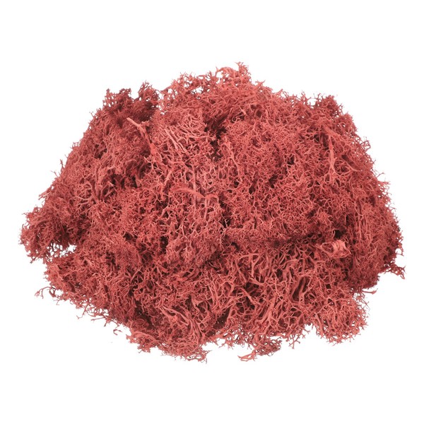 Konserviertes Rentier Moos Rot 3Oz FüR Topfpflanzen Deko Indoor Basteln-image