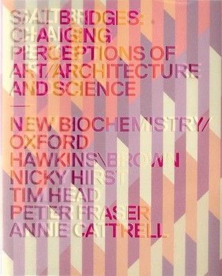 Salt Bridges Changing Perceptions of Art, Architecture and Science Coles, Alex,
