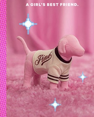 Victorias Secret, PINK mini Dog Pink Friday, Varsity Dog | eBay