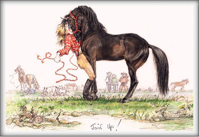 ''JOIN UP''- FUNNY Horse & Equestrian Greetings Cards 