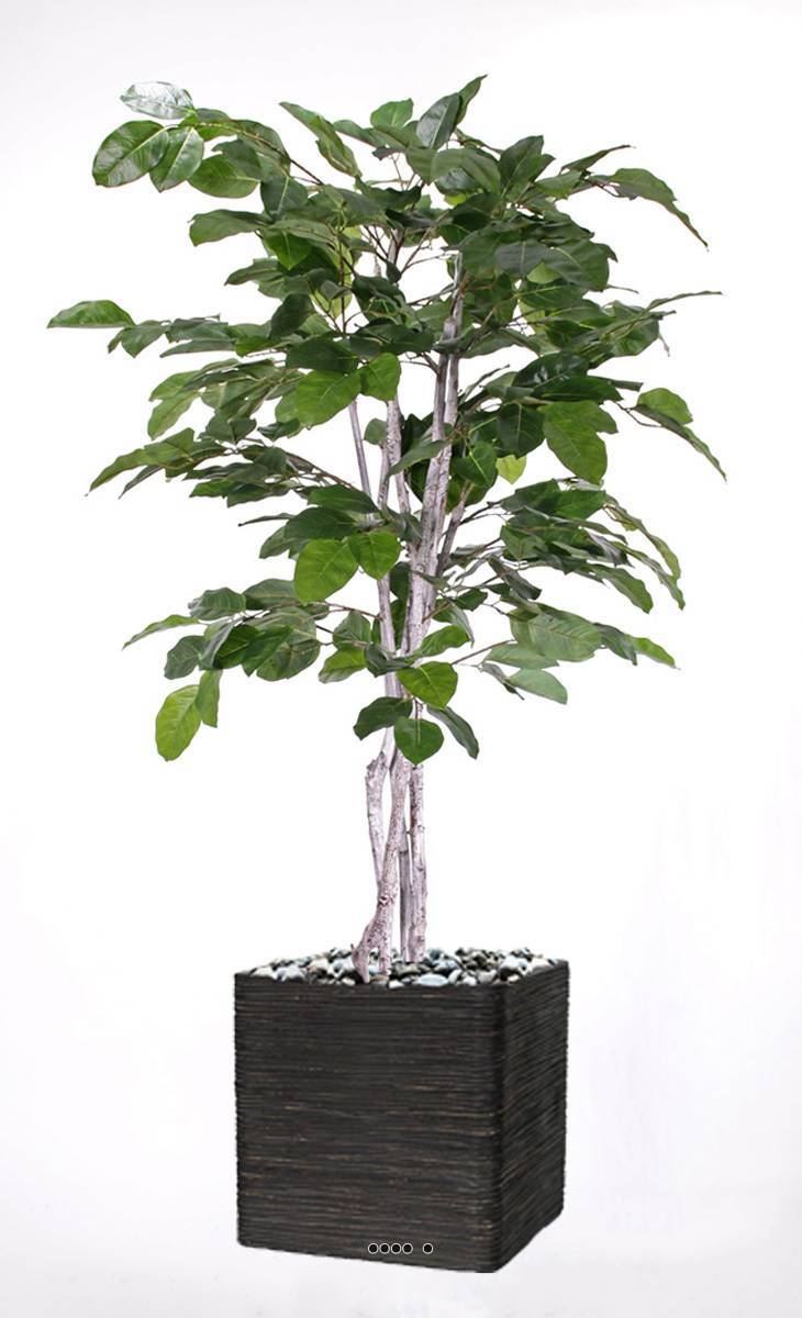 Figuier des Banyans artificiel 180 cm - Faux arbre tropical d'intérieur et extérieur abrité