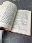 Foto 10 di 13