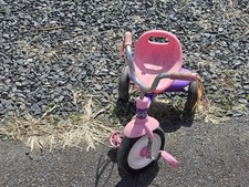 smarTrike Breeze Multi Stage Toddler Tricycle with Parent Handle - Pink