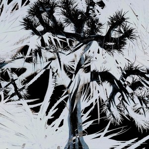 Plastic Tree CD | eBay