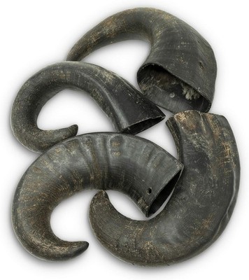 Wild Eats Water Buffalo Horn No Hide Dog Bones & Chews (All Natural, Single Sour