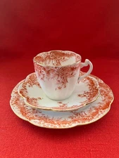 c 1896 Wileman & Co (Foley) daisy shaped trio #4 "Fern" pattern #5897 terracotta