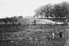 New 5x7 Civil War Photo: Woods Where Gen. John Reynolds was Killed, Gettysburg