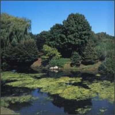 Terraform by Shellac: New
