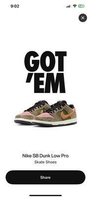 Arts-Rec x Nike Dunk SB Low Size 11.5M