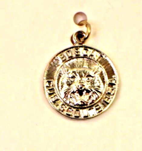Vintage BSA Boy Scouts of America- Rank Charms 1970s-1980s - Picture 36 of 40