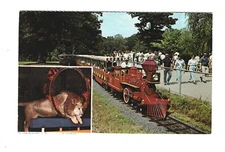 Zoo Line Railroad - Postcard,Forest Park Zoo, St Louis MO VINTAGE, c1960s (Lion)