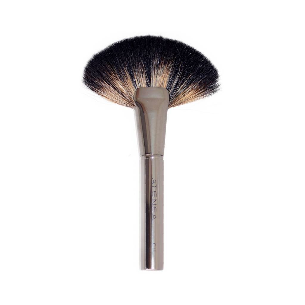 Brush C11 Large Silver Fan - New In Bag