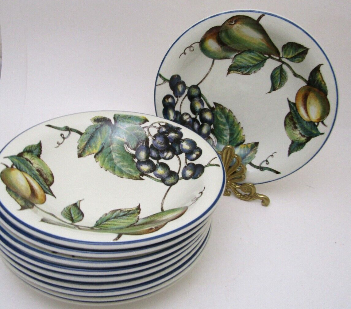 10 Pier 1 England Angleterre Macintosh Coupe Soup Bowl Fruit Paste Bowls 8.5"