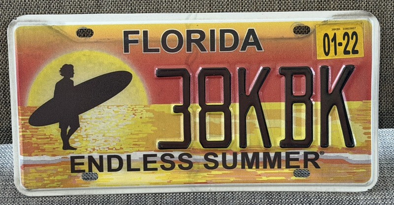 Florida Endless Summer License Plate 38KBK