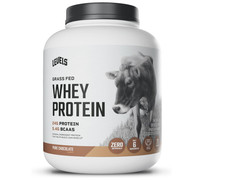 Levels Grass Fed Whey Protein Pure Chocolate ...