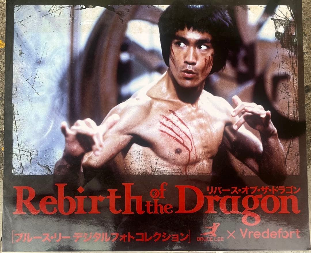 Bruce Lee Reverse of the Dragon