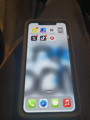 I phone Pro Max Has Tiktok
