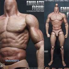 US ZC Toys 1/6 Muscular Male 12" Action Figure Body For Hot Toys Head Sculpt