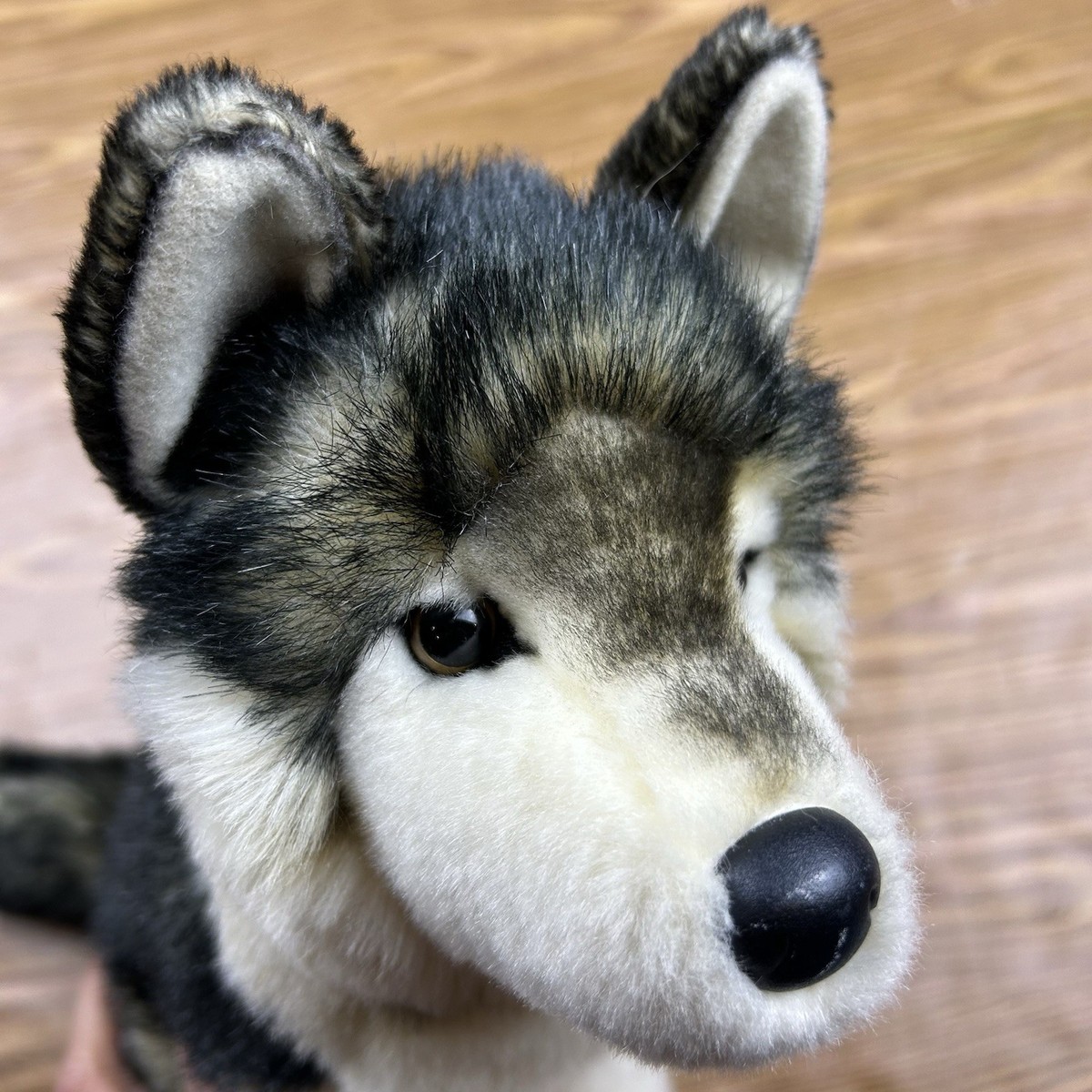 Douglas Atka Wolf Stuffed Animal Plush 11