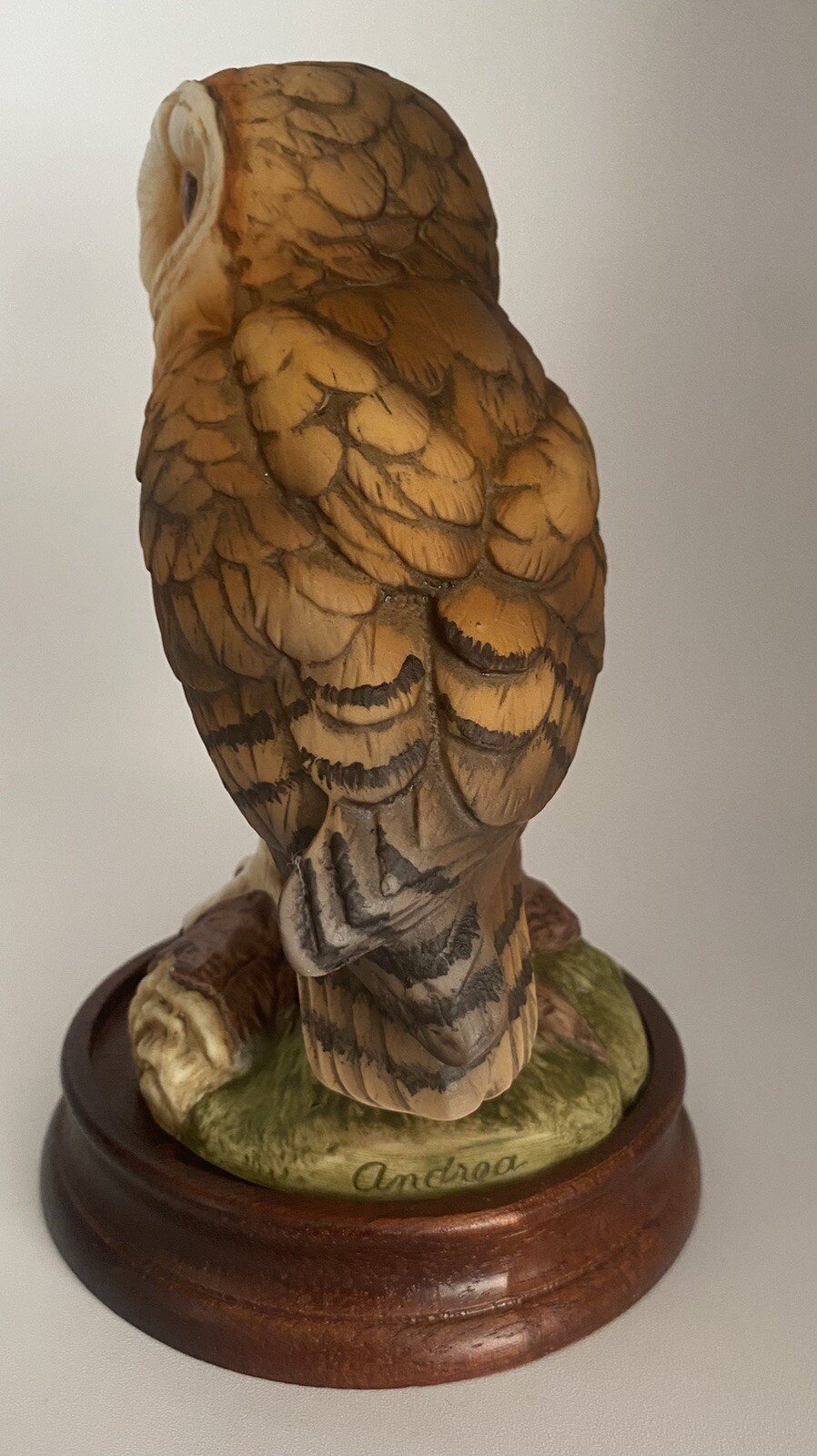 Picture 6 of 11