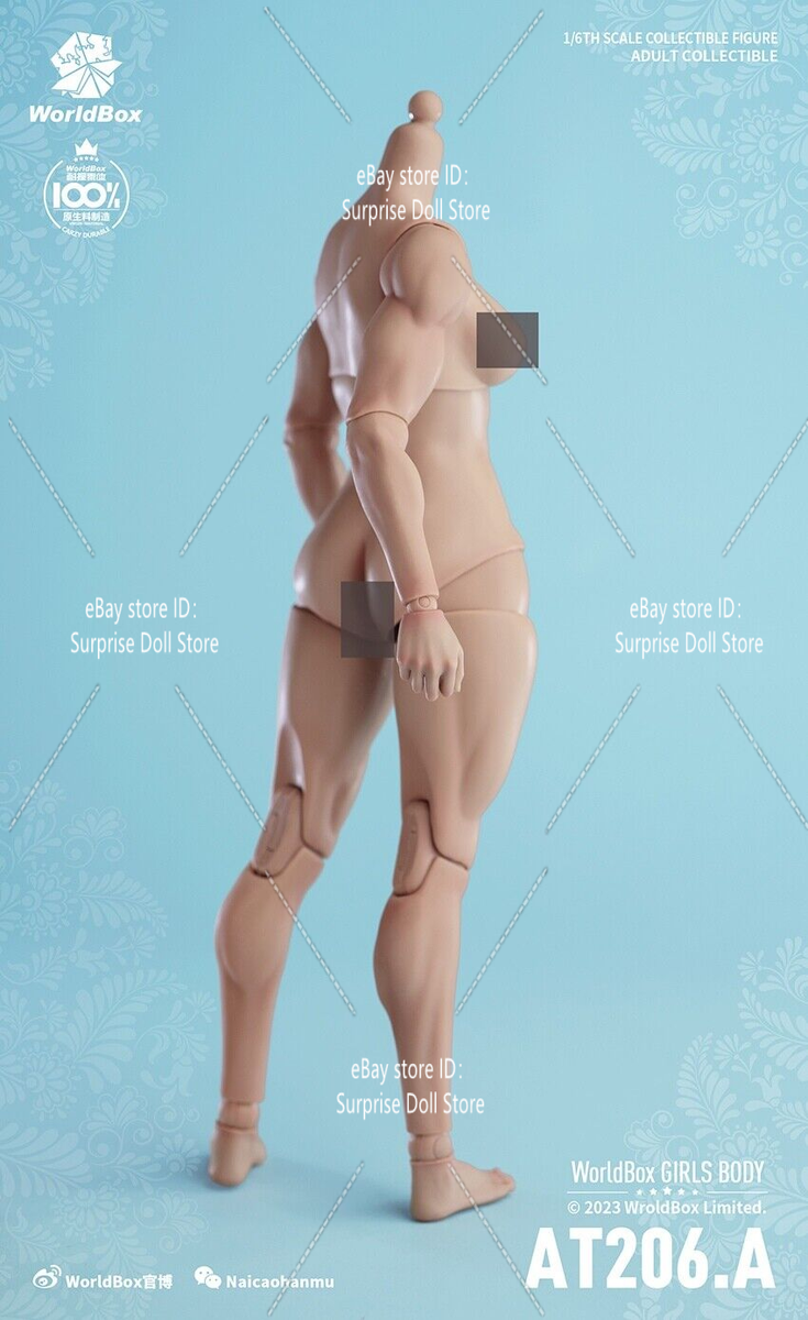 1/6 Worldbox AT206 Female Flexible Muscle Joint Body Soldier 12