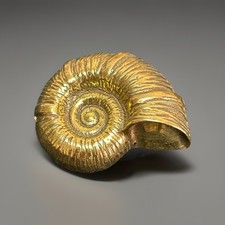 Spilla vintage Zentall Ammonite Nautilus Shell tono oro fossile 1,25"
