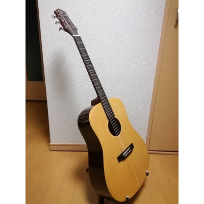Acoustic Guitar Elvis Elite-II Natural Dreadnought | eBay