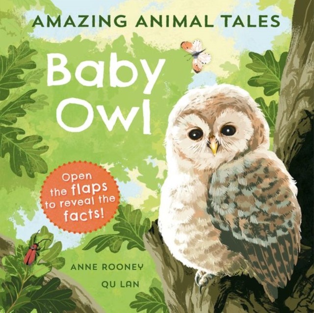 Amazing Animal Tales: Baby Owl by Anne Rooney (Paperback Book)