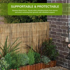 3M Bamboo Screening Roll Natural Fence Panel Peeled Reed Fencing Outdoor Garden