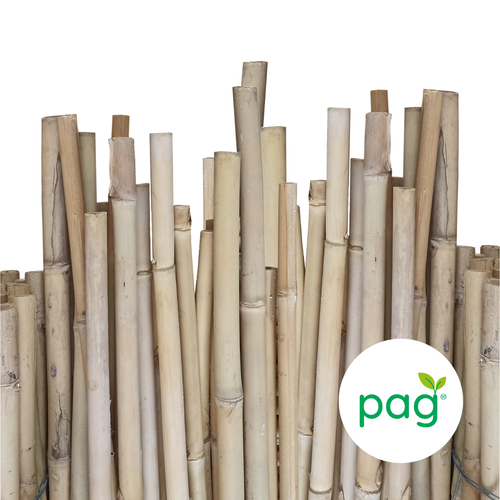 Canne di Bamboo Tutori per Orto Varie Dimensioni ⌀ 20/22 mm Bambù 50 pezzi - Foto 3 di 5
