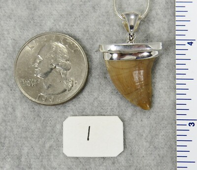 Dinosaur MOSASAURUS TOOTH PENDANT $69 Sterling Silver Jewelry STARBORN  CREATIONS