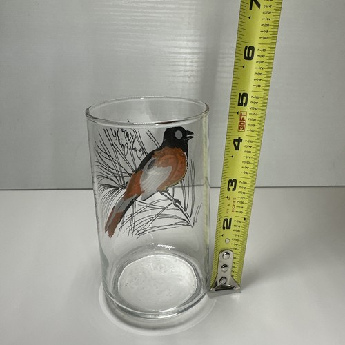 Vaso de beber vintage Baltimore Oriole Bird 12 oz - Kitschy Y4 - Imagen 7 de 7