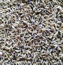 Fiori di lavanda essiccati 1 Kg - Lavandula - Lavande - Aromaterapia