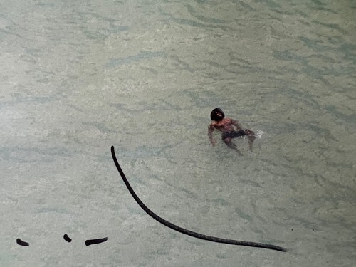 RICHARD MISRACH Giant POSTER Aperture On The Beach 40” X 56” SIGNED RARE NEW - Picture 12 of 23