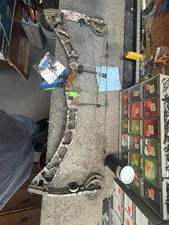 Elite Synergy Compound Bow