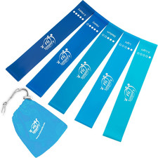 Resistance Exercise Bands with Instruction Guide and Carry Bag, Set of 5