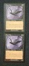 Magic: The Gathering - (2) Bog Glider - Prophecy - 58/143 - Creature