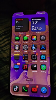 IPhone 13 Pro Max - 512 GB - With TikTok Installed 