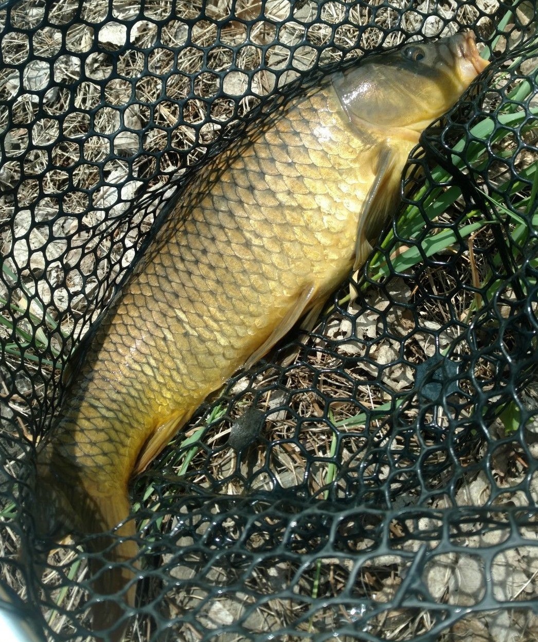 Picture 4 of 5