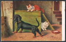 AC074 a/s SPERLICH DACHSHUND DOG CAT Kitten KATZE CHAT