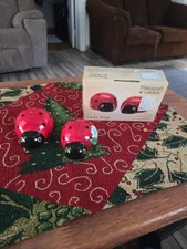 Pfaltzgeaff Collectible Salt And Pepper Shakers Lady Bugs In A Box Pristine 