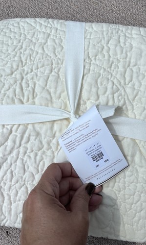 NUEVO Pottery Barn lino belga puntada floral farsa estándar clásico marfil - Imagen 3 de 4