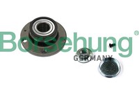 Borsehung Radlagersatz B11289 FüR 9A4 9N2 Polo 9A6 FOX 5Z1 VW 9A2 4 5Z3 5Z4 5Z5