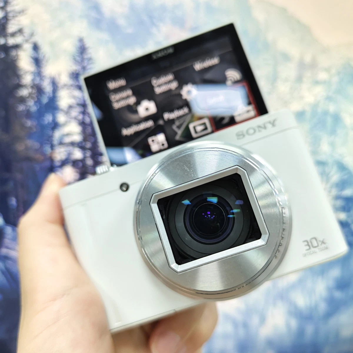 Sony Cyber-shot DSC-WX500 Digital Cameras for Sale - Shop New