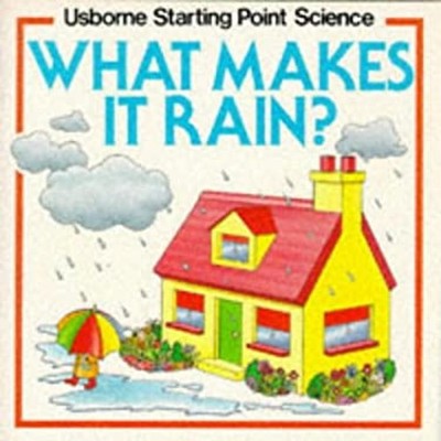 What Makes It Rain? Paperback Susan Mayes